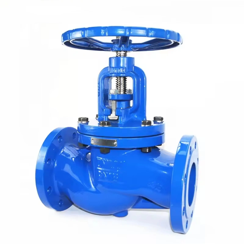 ANSI DN1200 Ductile Iron Manual Flange Type Globe Valve - Image 3