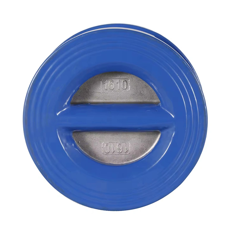 ANSI DN150 PN16 Diaphragm Cast Iron Non-return Spring Dual Plate Wafer Check Valve - Image 1
