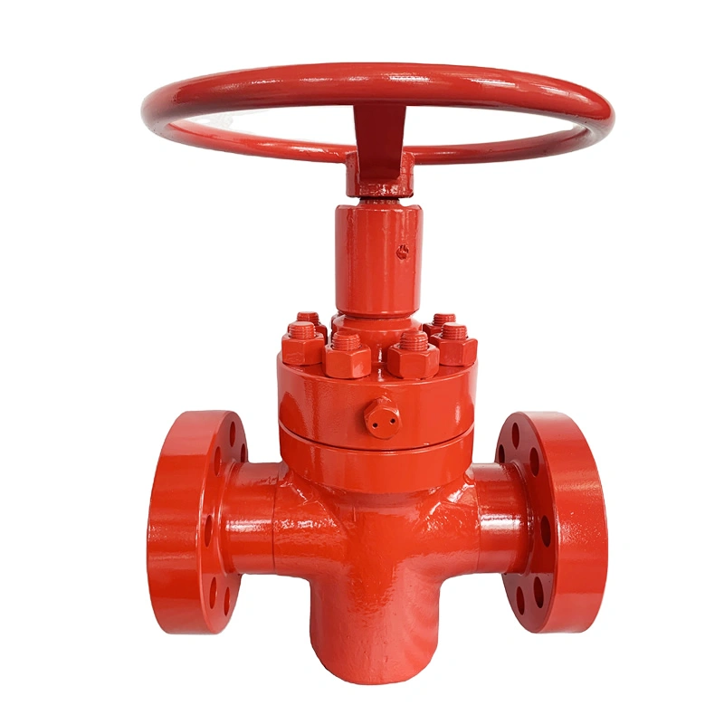 API 6A Manual Forged API 6A Slab Oil Gas Gate Valve  - Image 5