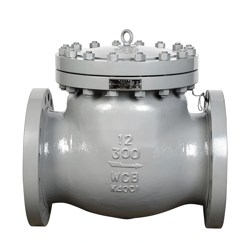 API JIS DIN CLASS 300 Flanged Carbon Steel/Stainless Steel Swing Check Valve - Image 1