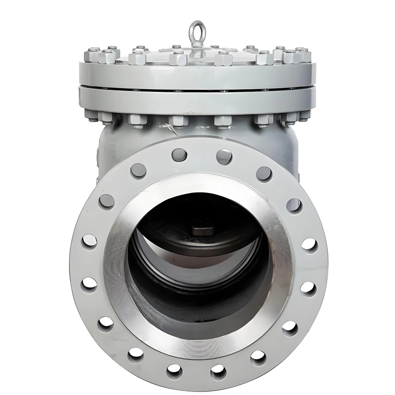 API JIS DIN CLASS 300 Flanged Carbon Steel/Stainless Steel Swing Check Valve - Image 2