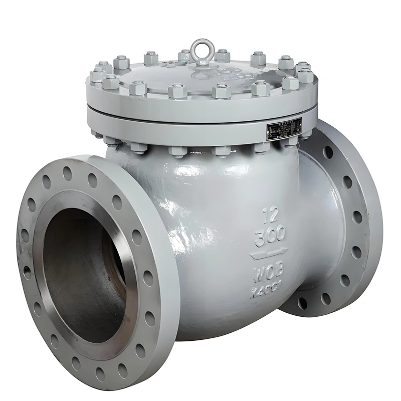 API JIS DIN CLASS 300 Flanged Carbon Steel/Stainless Steel Swing Check Valve - Image 3