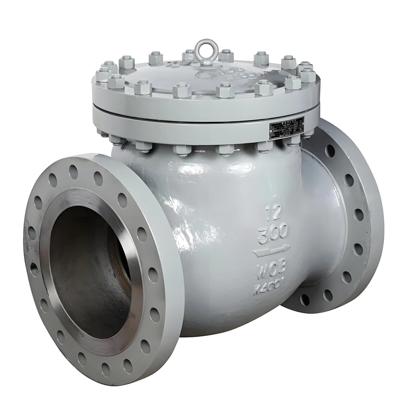 API JIS DIN CLASS 300 Flanged Carbon Steel/Stainless Steel Swing Check Valve - Image 4