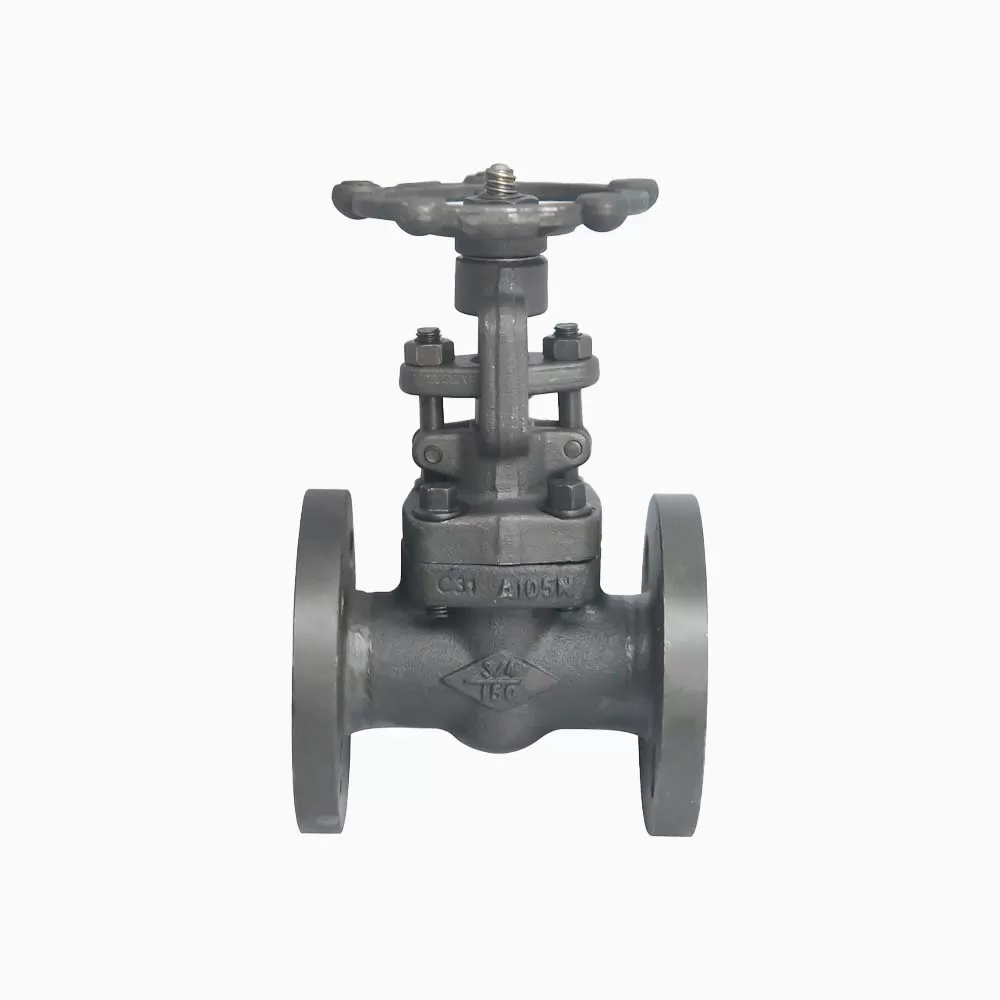 API6D DN20 DN50 150LB Flange ASTM A105 Forged Steel Gate Valve - Image 4