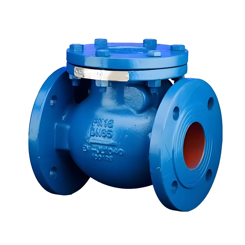 Ansi 6 Inch PN16 Cast Steel Swing Check Valve