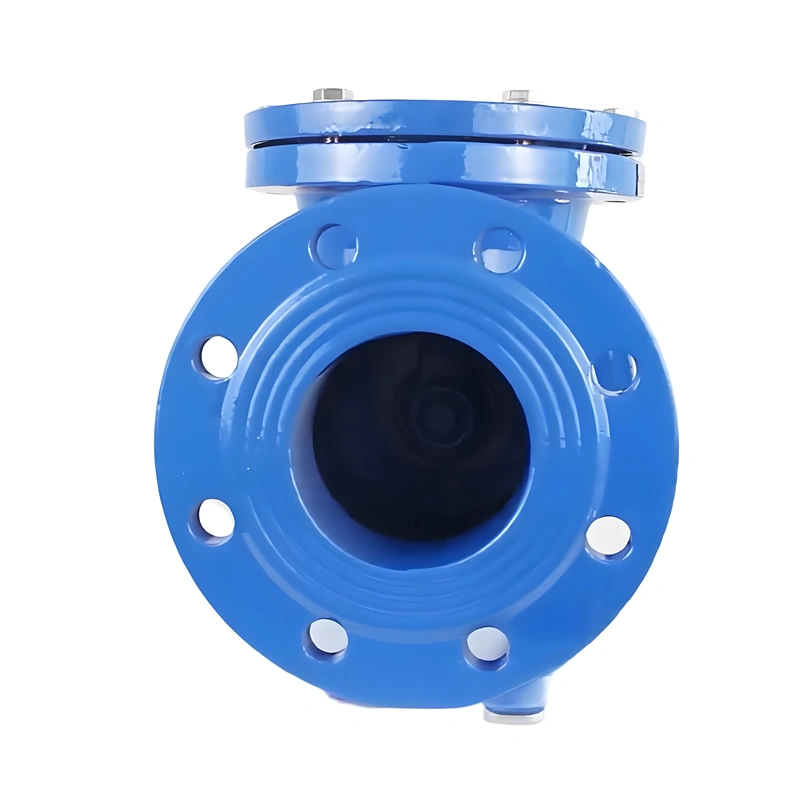 Ansi 6 Inch PN16 Cast Steel Swing Check Valve - Image 1