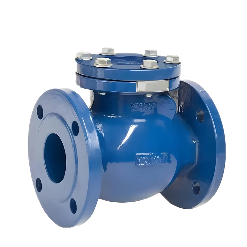 Ansi 6 Inch PN16 Cast Steel Swing Check Valve - Image 2