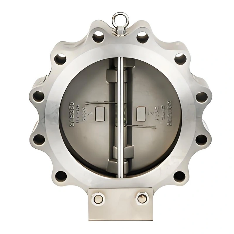 DN100 PN16 Lug Type Double Disc Swing Check Valves - Image 1