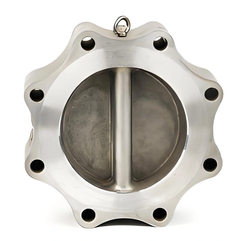 DN100 PN16 Lug Type Double Disc Swing Check Valves - Image 3