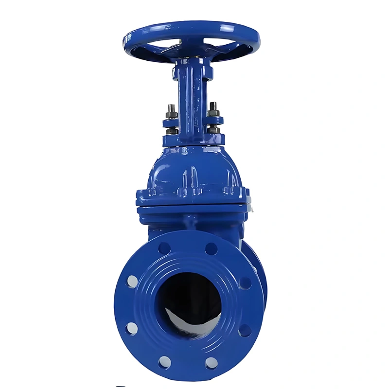 DN200 API609 Cast Iron Rising Stem Solid Wedge Gate Valve - Image 1