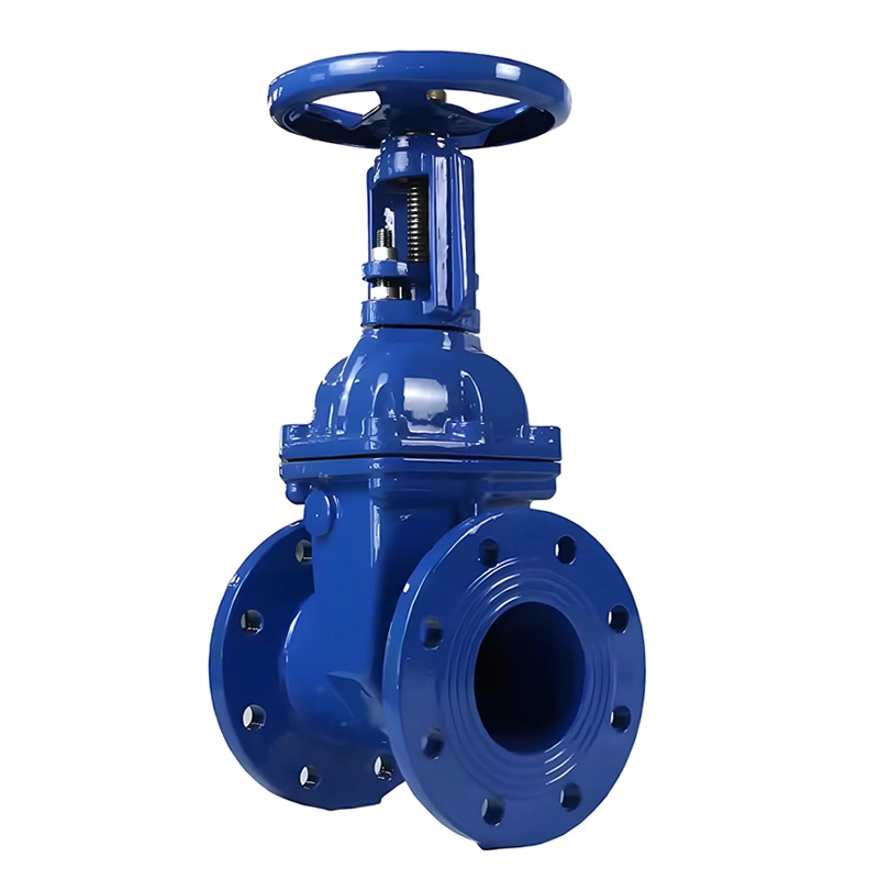 DN200 API609 Cast Iron Rising Stem Solid Wedge Gate Valve - Image 2