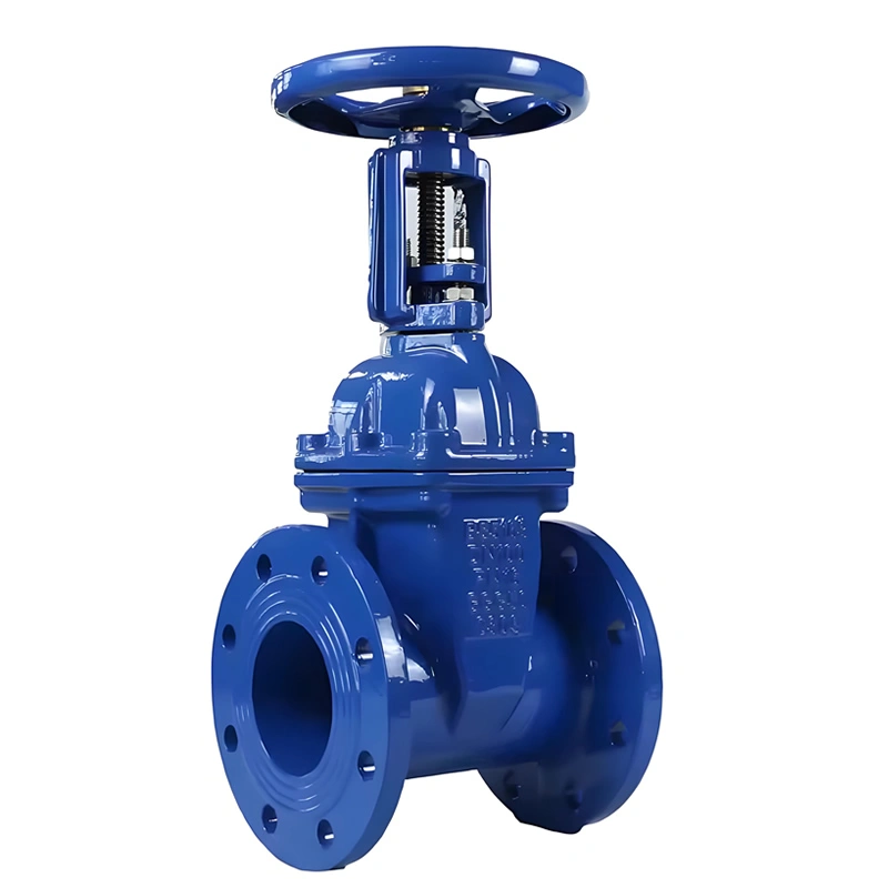 DN200 API609 Cast Iron Rising Stem Solid Wedge Gate Valve - Image 3