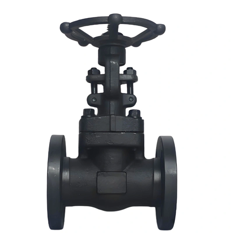 DN40 150LB A105 Carbon Steel Flanged Forged Steel Handwheel Operation Gate Valve  - Image 1