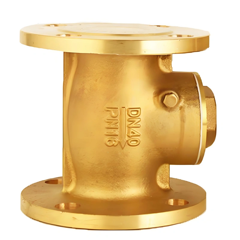 DN50 PN16 Brass/Aluminum Bronze Flanged Ends Swing Check Valve - Image 1