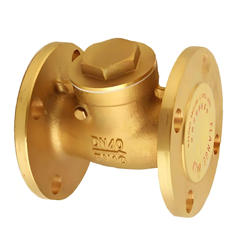 DN50 PN16 Brass/Aluminum Bronze Flanged Ends Swing Check Valve - Image 2