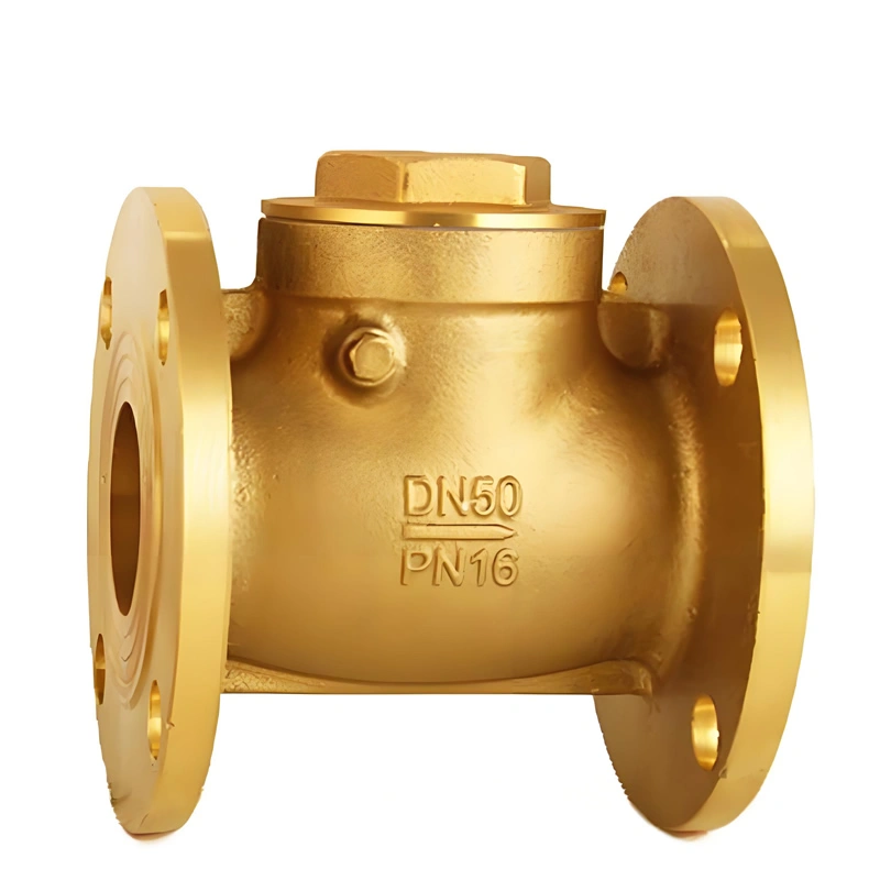 DN50 PN16 Brass/Aluminum Bronze Flanged Ends Swing Check Valve - Image 4