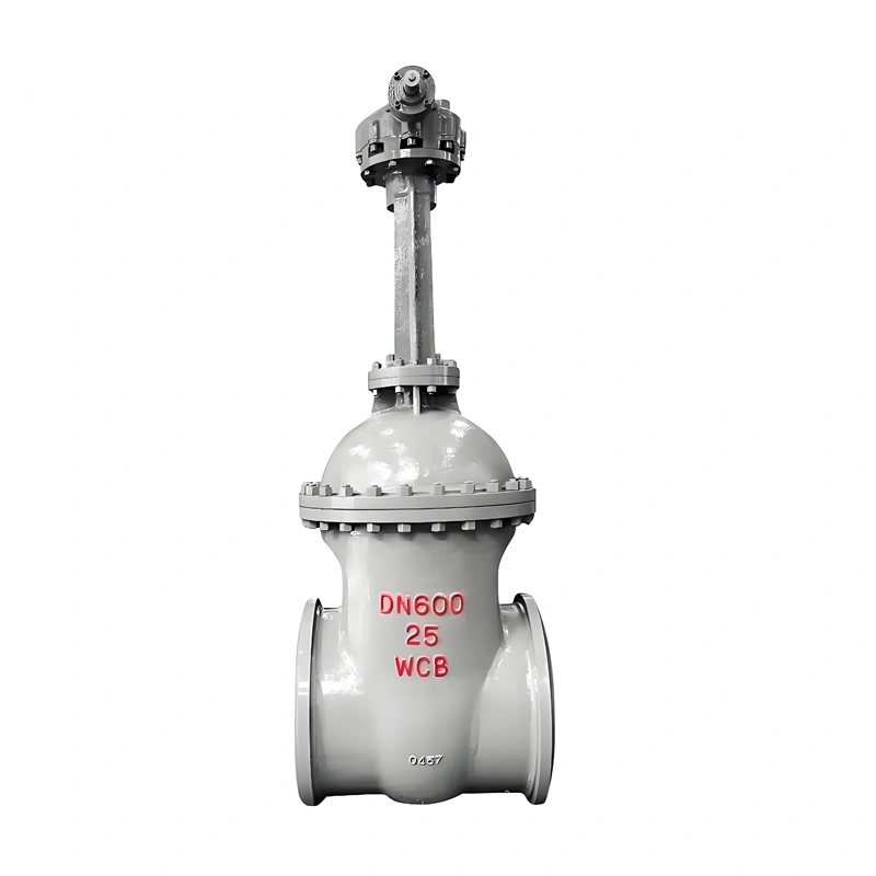 DN600 Manual Full-Bore WCB Cast Steel Wedge Gate Valve - Image 1
