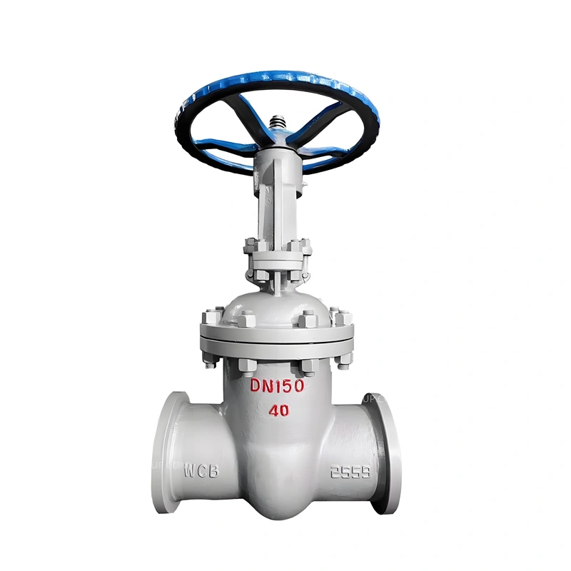 DN600 Manual Full-Bore WCB Cast Steel Wedge Gate Valve - Image 2