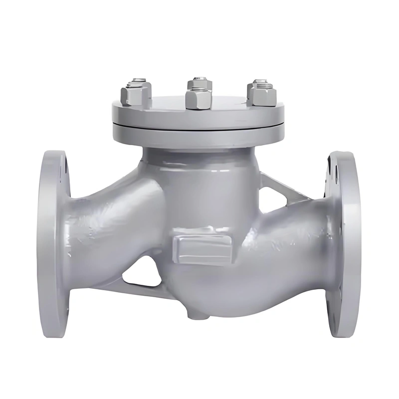 DN80 Hydraulic Vertical Swing Water Check Valve  - Image 2
