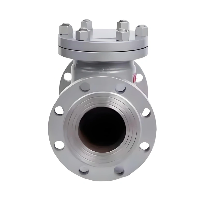 DN80 Hydraulic Vertical Swing Water Check Valve  - Image 3