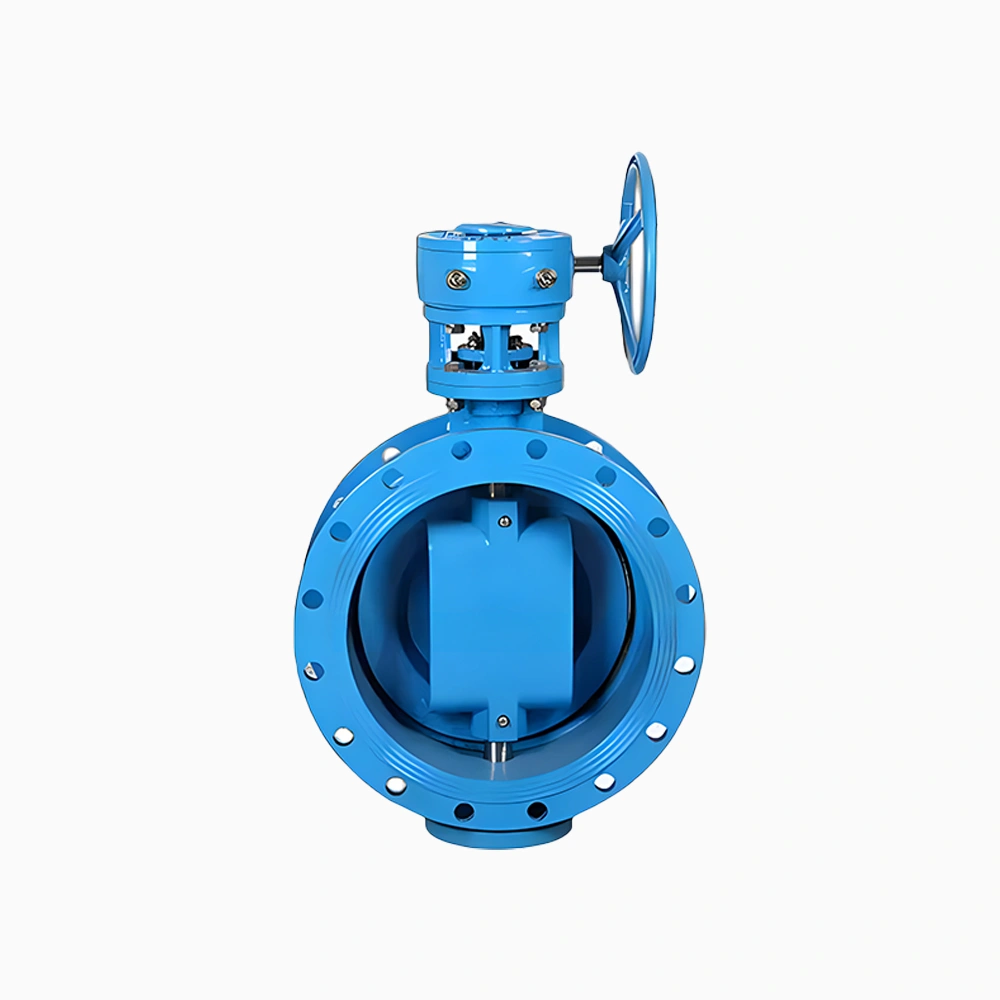 Double Offset Butterfly Valve - Image 3