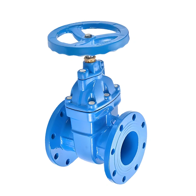 Ductile Iron Manual Fire Fighting Water Ductile Iron Flanged Gate Valve - Image 2