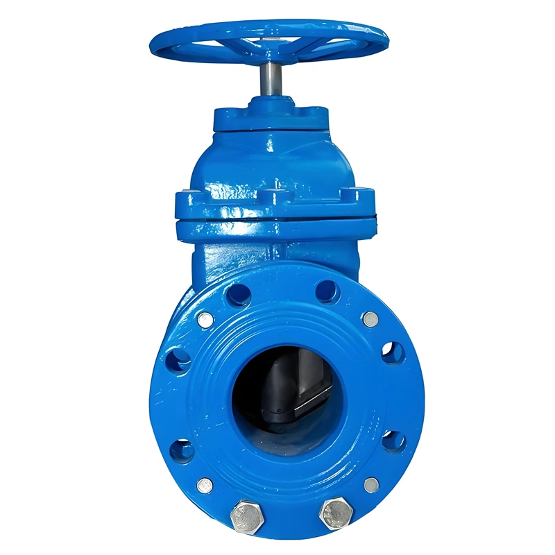DN50 Ductile Iron Metal-Seated Flanged Connection Telescopic Soft Seal Mechanical Gate Valve - Image 2