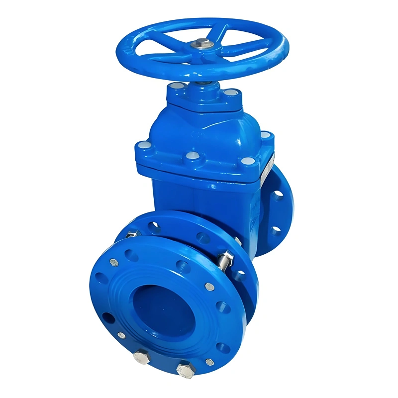 DN50 Ductile Iron Metal-Seated Flanged Connection Telescopic Soft Seal Mechanical Gate Valve - Image 3
