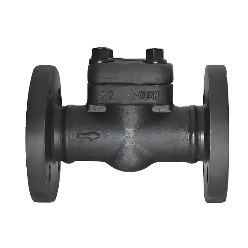 Forged Steel A105 Flange Swing Single-disc Swing Check Valve - Image 4