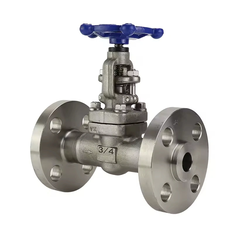 High Quality Flanged Manual Stainless Steel Forged Globe Valve - Image 5