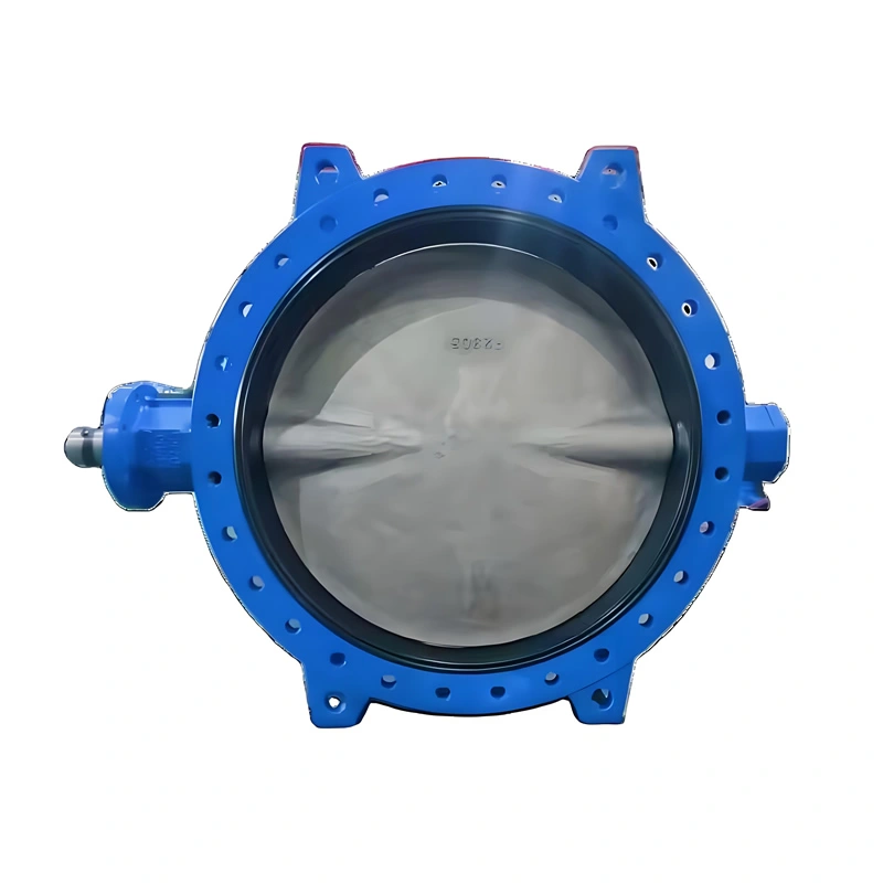 Large-diameter DN300-DN2800 Soft Seal Double Flanged Concentric Butterfly Valve - Image 4