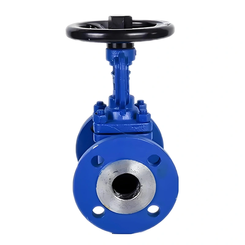 PN40 Wcb DIN 3356 Bellow Seal Bonnet Globe Valve - Image 1