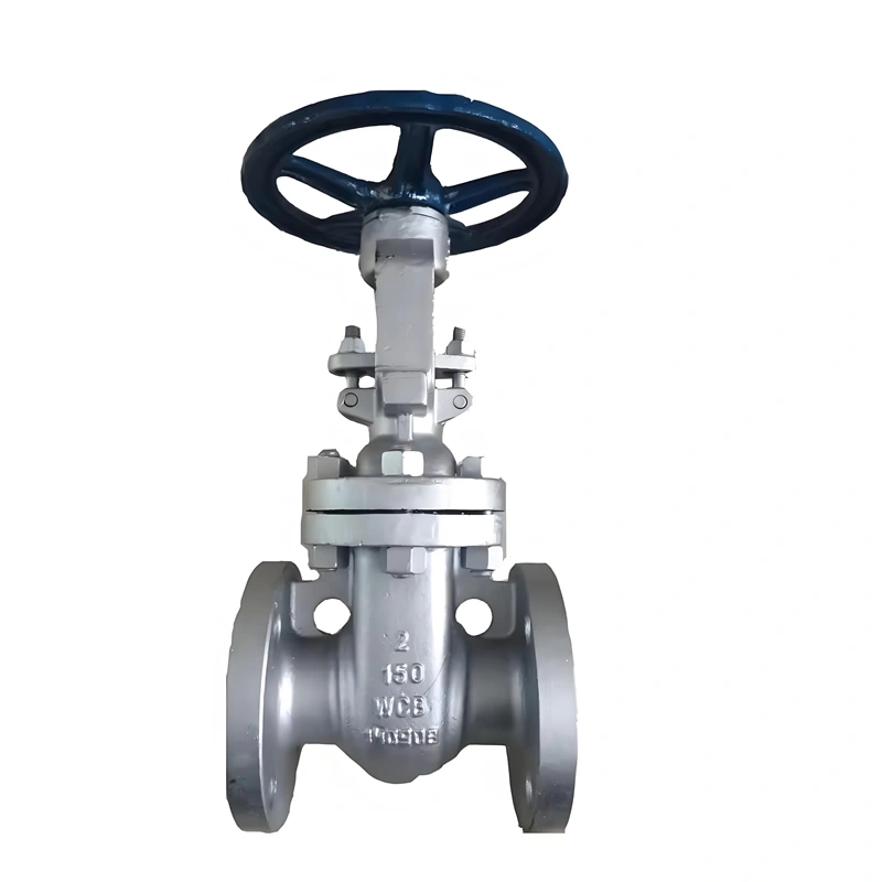 SS304 Stainless Steel Two Ways ANSI Solid Wedge Cast Iron Manual Control Gate Valve - Image 2