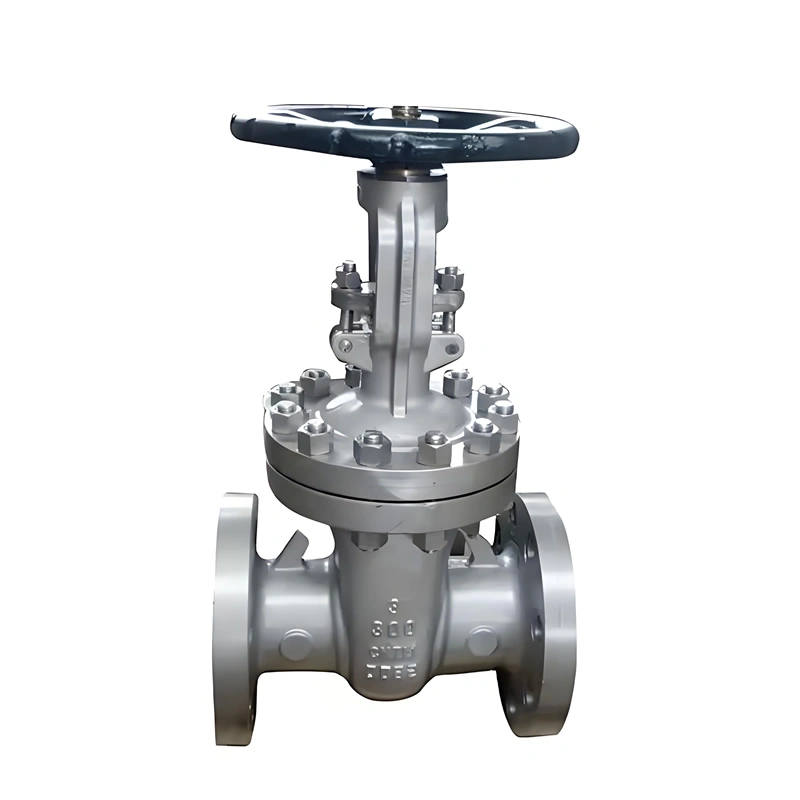 SS304 Stainless Steel Two Ways ANSI Solid Wedge Cast Iron Manual Control Gate Valve - Image 3