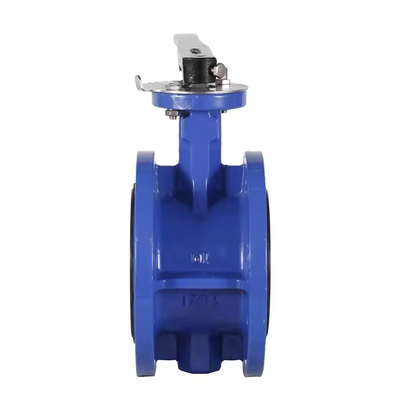 Soft Sealing Cast Iron Gear Operated Concentric Double Flanged Butterfly Valve - Image 1