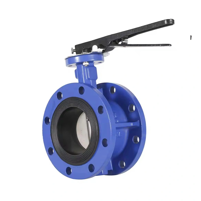 Soft Sealing Cast Iron Gear Operated Concentric Double Flanged Butterfly Valve - Image 3