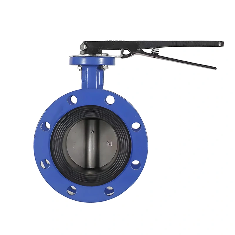 Soft Sealing Cast Iron Gear Operated Concentric Double Flanged Butterfly Valve - Image 4