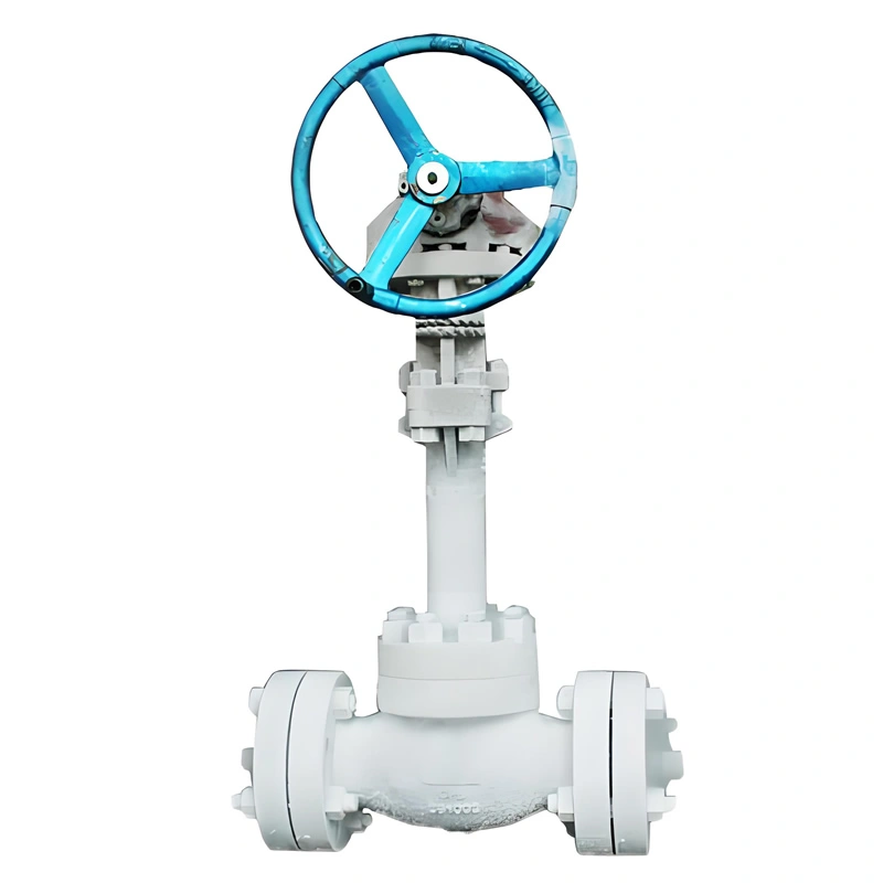 Stainless Steel High Pressure Cryogenic LNG LOX Petrochemical Globe Valve  - Image 3